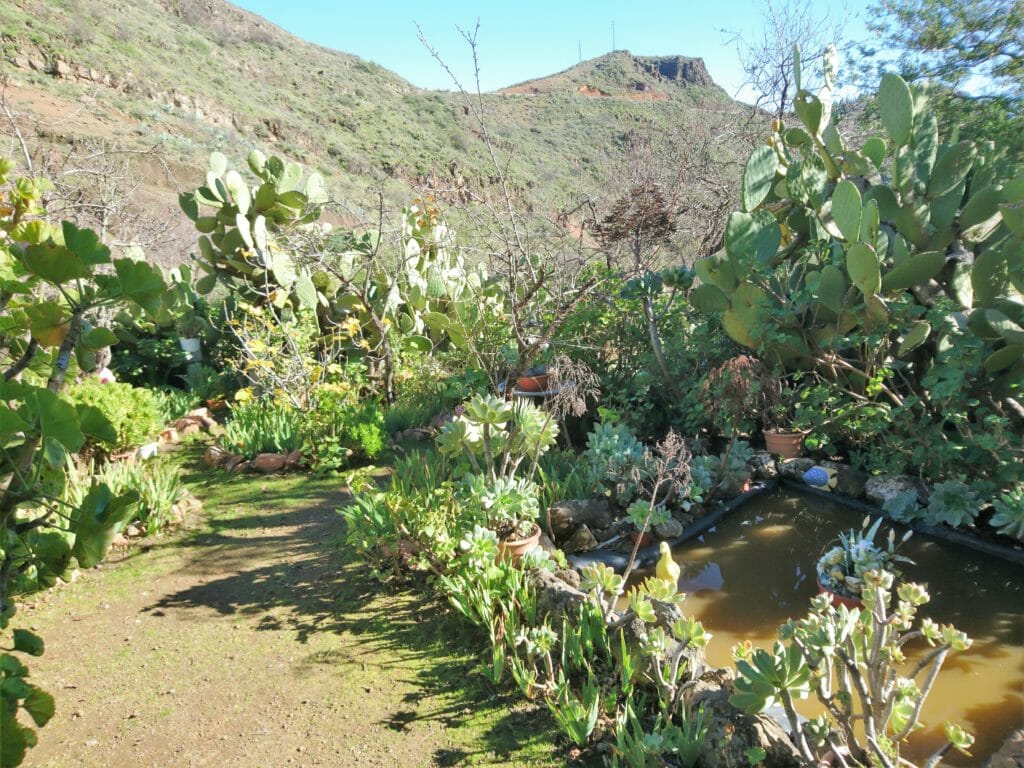 Mirador Caldera de los Marteles ein Vulkankessel auf Gran Canaria 7 Kleiner Garten am Vulkankrater de los Marteles Gran Canaria