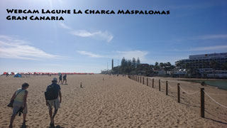 Zur Webcam de La Charca de Maspalomas Gran Canaria