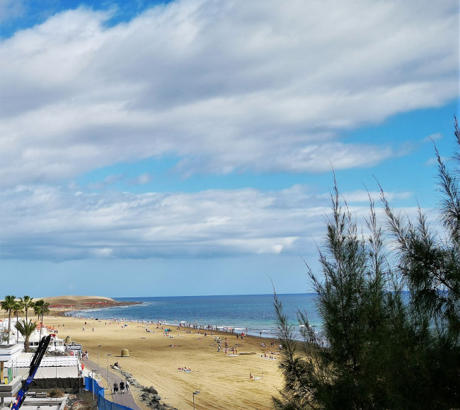 Dünen Maspalomas Aktueller Reiseführer Kanaren Gran Canaria 13 Vom Leuchtturm aus auf den Playa de Maspalomas geschaut,mit Blick auf die Dünen