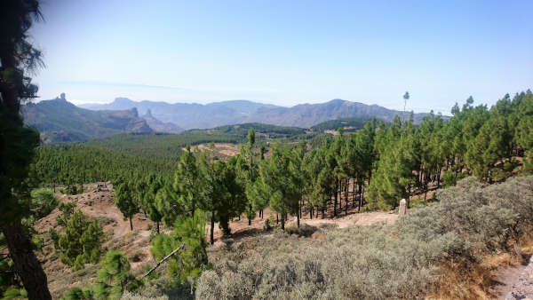 Wie ist das Wetter im Oktober auf Gran Canaria? 14 Wie ist das Wetter im Oktober auf Gran Canaria? 7