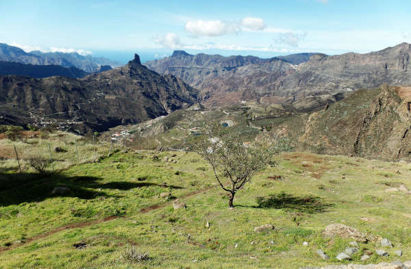 Wie ist das Wetter im Oktober auf Gran Canaria? 11 Wie ist das Wetter im Oktober auf Gran Canaria? 4