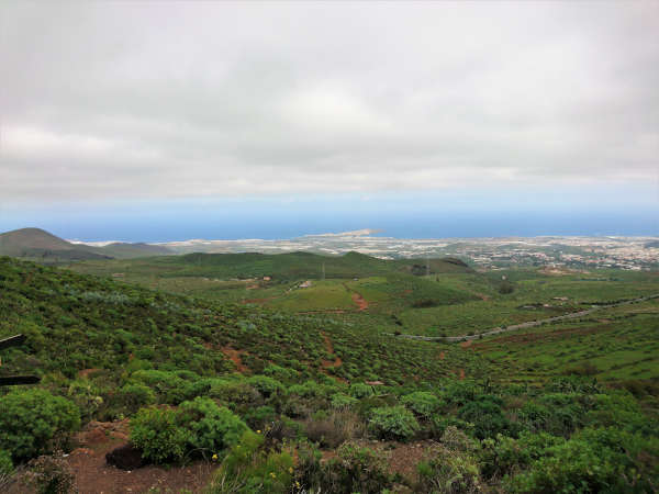 Wie ist das Wetter im November auf Gran Canaria? 8 Der Grüne Norden von Gran Canaria im November