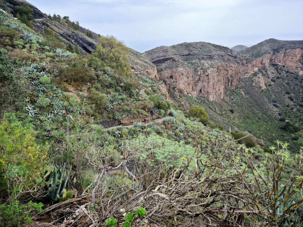 Ausblick vom Mirador de los Cuartos auf den Caldera de Bandama