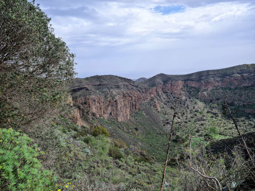 Mirador de los Cuartos 1