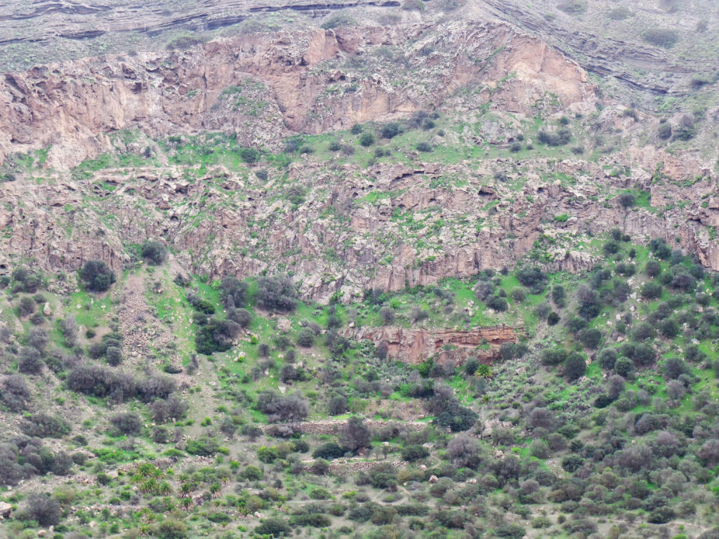 Kraterwand des Vulkans Bandama Gran Canaria