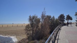 Von der Promenade aus kommst du zum Playa de Maspalomas