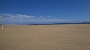 cropped-Sandstrand-Playa-de-Maspalomas.jpg 2