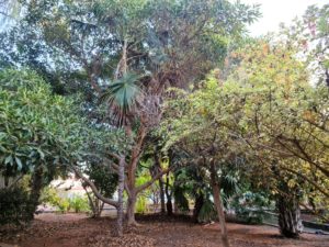 Botanischer Garten Maspalomas (Parque Botánico de Maspalomas)