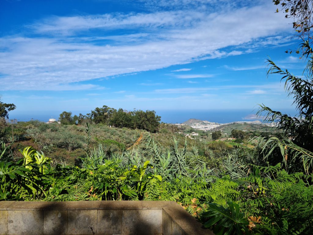 Firgas: Mirador de Las Pellas 16 Der Grüne Norden von Gran Canaria -Firgas