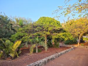 Hier im Parque Botánico de Maspalomas gibt es sein eigenes Klima
