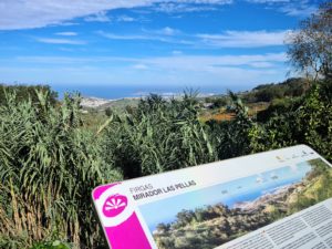 Mirador de Las Pellas