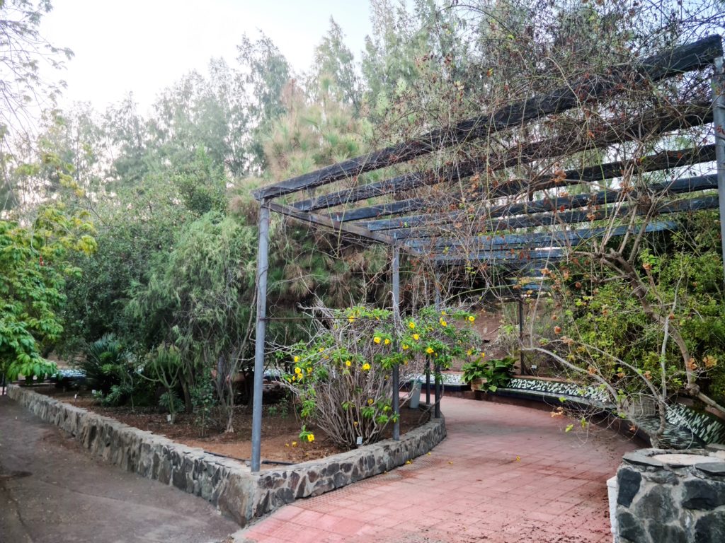 Sitzmöglichkeiten im Parque Botánico de Maspalomas