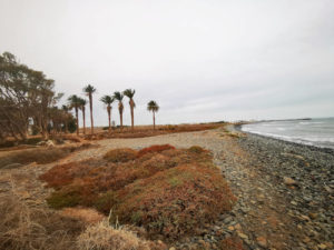 Naturpark Juncalillo del Sur Gran Canaria