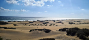 Naturpark Las Dunas de Maspalomas Gran Canaria