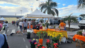 Adresse Bauernmarkt San Fernando Gran Canaria