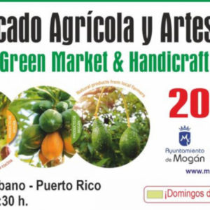 Bauernmarkt Puerto Rico Gran Canaria