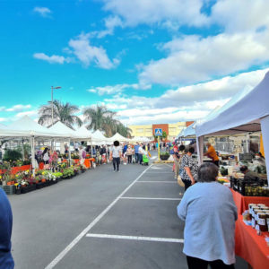 Bauernmarkt San Fernando Termine 2022 56 Bauernmarkt San Fernando Termine 2022