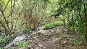 Wandern im Barranco de Azuaje Gran Canaria