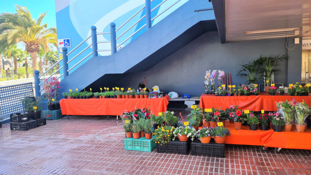 frische Blumen erhälst du auf dem Markt in San Agustin