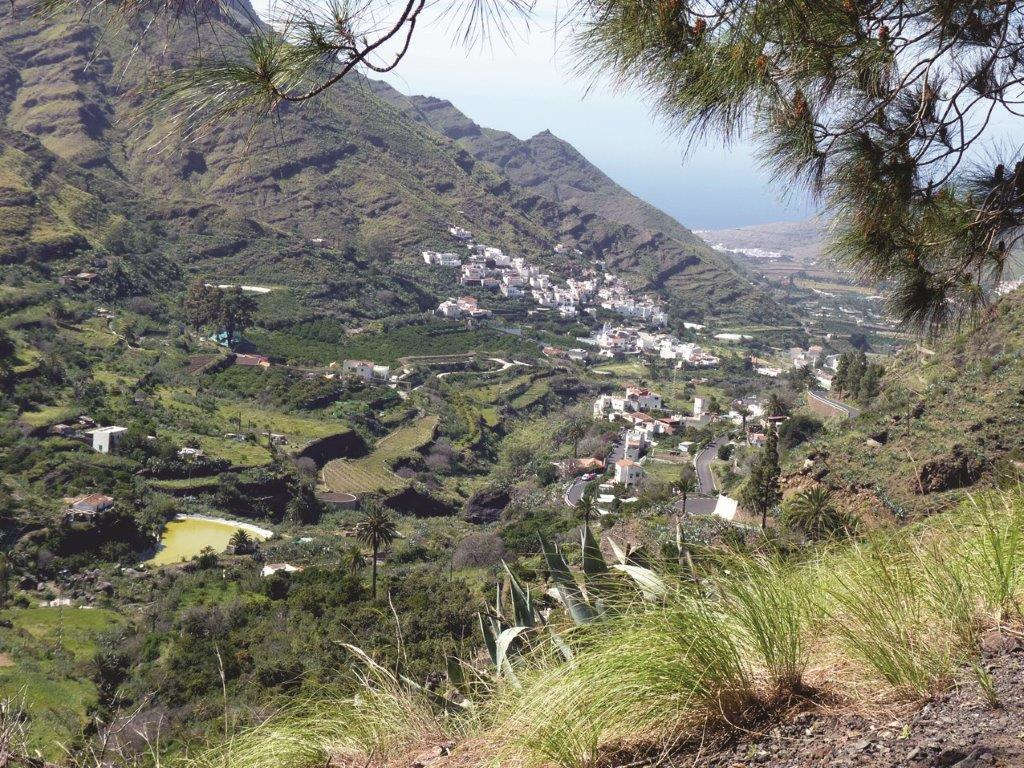 Ausflug Gran Canaria Berrazales