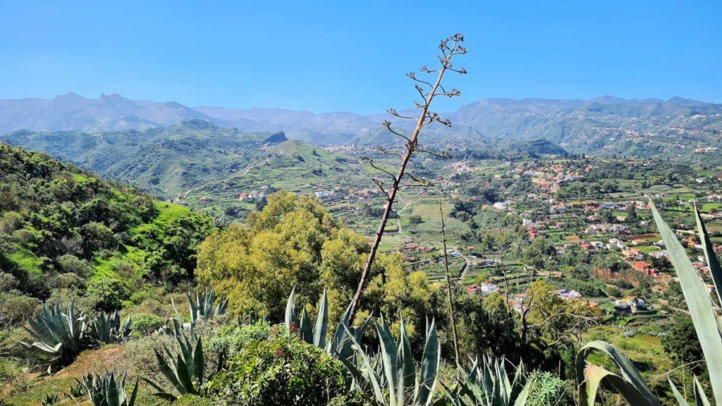 Barranco de Santa Brígida Gran Canaria