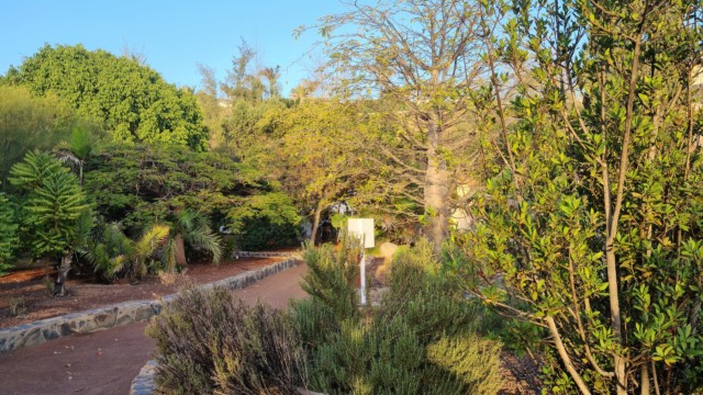 Bilderbuch Botanischer Garten Parque Botánico de Maspalomas