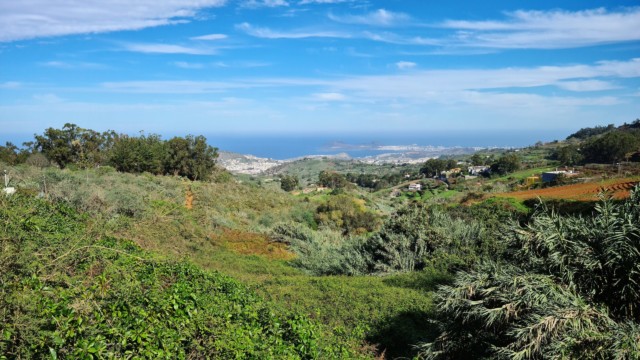 Blick auf Las Palmas de Gran Canaria Aussichtspunkt Mirador de Las Pellas