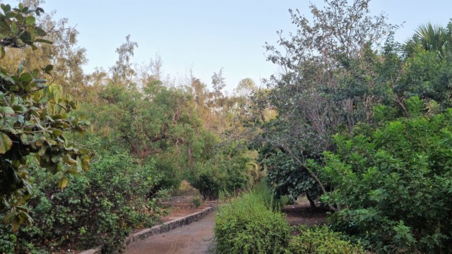 Botanischer Garten Gran Canaria Maspalomas