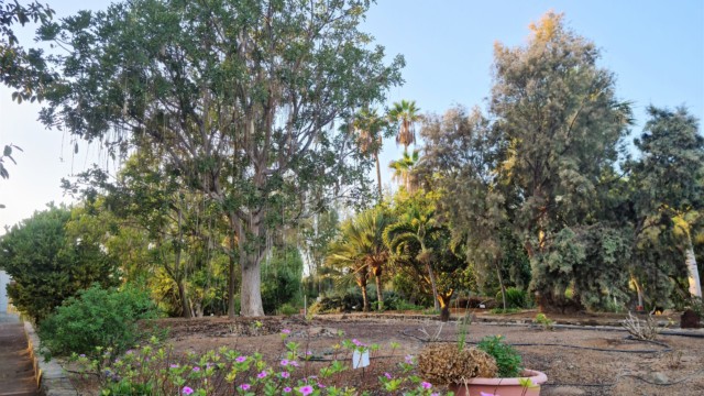 Botanischer Garten in Maspalomas