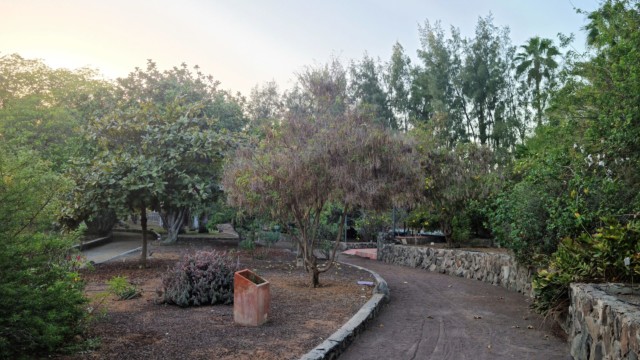 Ein Rundweg führt durch den Botanischen Garten Parque Botánico de Maspalomas Gran Canaria