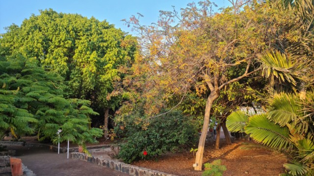 Ein Rundweg führt durch den Botanischen Garten Parque Botánico de Maspalomas