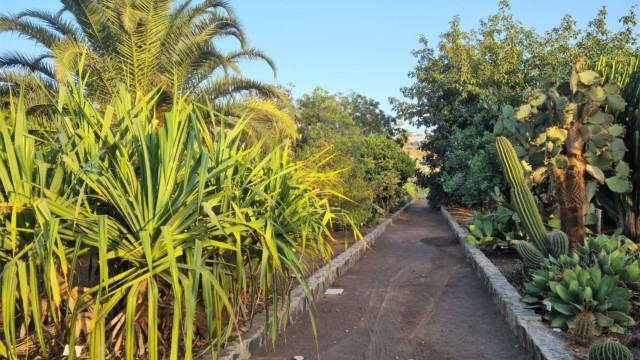 Ein sehr schön angelegter Botanischer Garten ist der Parque Botánico de Maspalomas