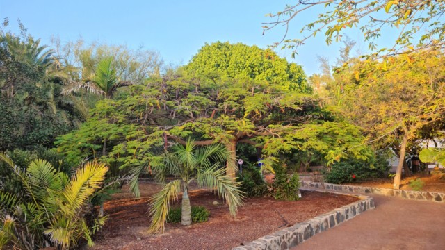 Hier im Parque Botánico de Maspalomas gibt es sein eigenes Klima