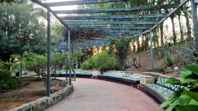 Schattige Sitzmöglichkeiten im Parque Botánico de Maspalomas