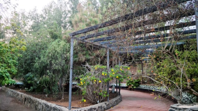 Sitzmöglichkeiten im Parque Botánico de Maspalomas