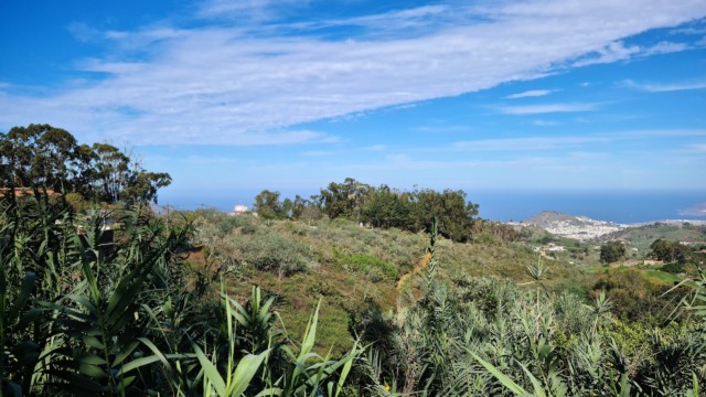Umgebung vom Aussichtspunkt Mirador de Las Pellas
